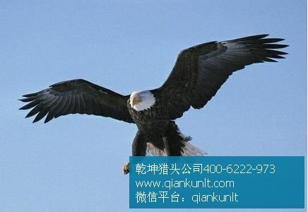房地产猎头