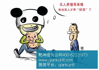 it猎头公司