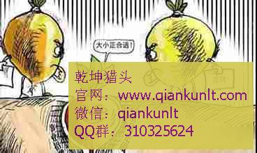 it猎头公司