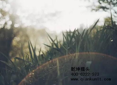 猎头